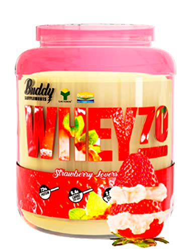 Whey70 Standard (Lactomin ®, Digezyme® et Stevia. Sin azúcares añadidos y proteina 100% de la leche)