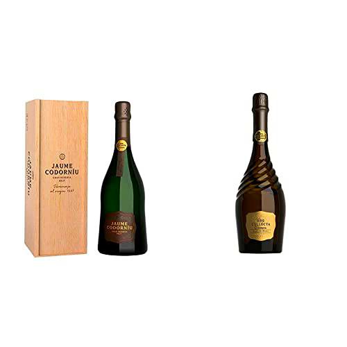 Codorníu Ars Collecta Jaume Codorníu - Cava Gran Reserva