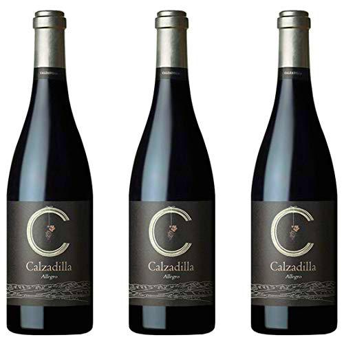 Calzadilla Vino tinto Allegro 2011 - 3 botellas x 750ml