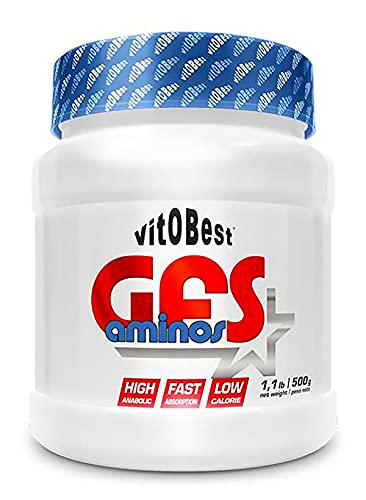 VITOBEST GFS AMINOS (500 GRS) - LIMON