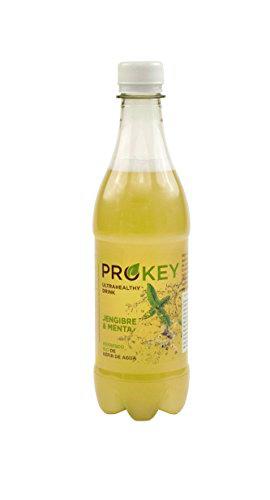 Prokey Kefir de Agua Prebiótico Bio, Menta y Jengibre, Pack de 1