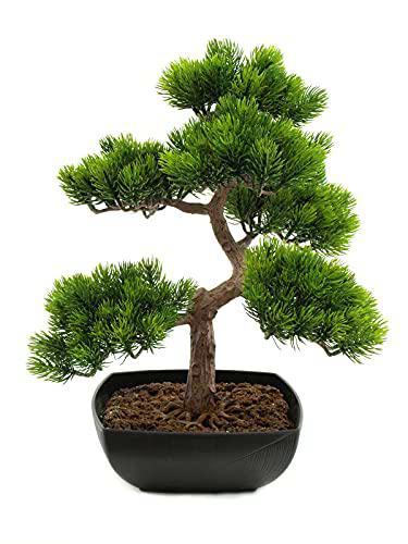 Euro Palms 82600110 - Bonsai (Pino, 50 cm)