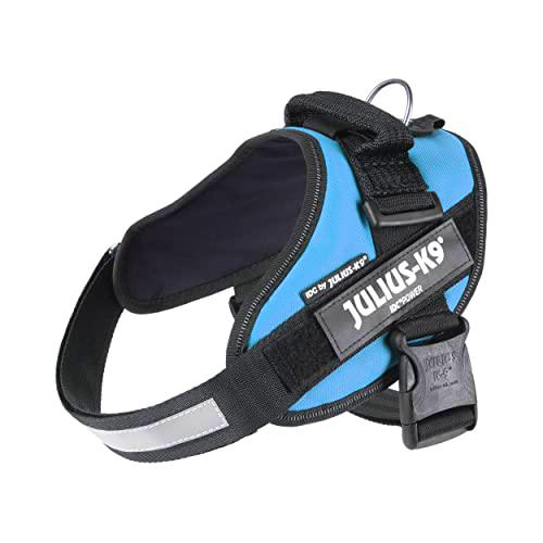 JULIUS-K9 16IDC Power Harness