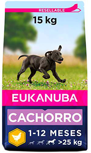 Eukanuba Alimento seco para cachorros de raza grande