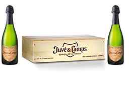 Juvé &amp; Camps | Cava Reserva de la Familia Gran Reserva Brut Nature | Caja de madera 2 botellas de 75 cl | Macabeu