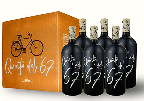 BODEGAS Y VIÑEDOS VOLVER | Vino Tinto Quinta del '67 | Pack de 6 Botellas | Vino de Almansa | Variedad de uva Garnacha Tintorera | Cosecha de 2017 | (6 Botellas x 750 ml) |