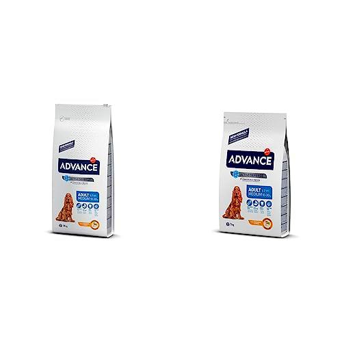 Advance Medium Adult Chicken, Pienso para Perros Adultos de Razas Medianas con Pollo