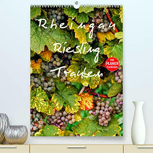 Rheingau - Riesling Trauben (hochwertiger Premium Wandkalender 2024 DIN A2 hoch)