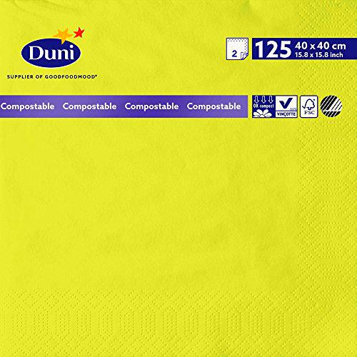 Duni 179004 - Servilletas de papel (40 x 40 cm, 2 capas