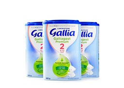 Laboratoire Gallia Galliagest Premium 2 (2ème âge)