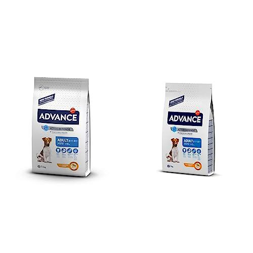 Advance Mini Adult Chicken, Pienso para Perros Adultos de Razas Pequeñas con Pollo