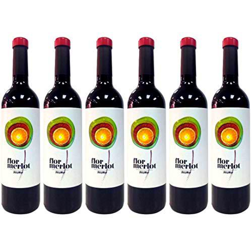 Finca Collado Vino Tinto - 6 Botellas - 4500 ml