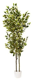 VEA SRL Placa G. FICUS 150 cm CHI57991