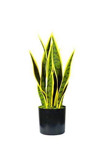 King Collection Planta SANSEVIERIA H. 45 cm 12 Hojas Verde