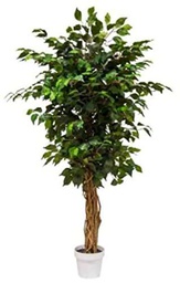 VEA SRL Planta G. FICUS 130 cm 57189