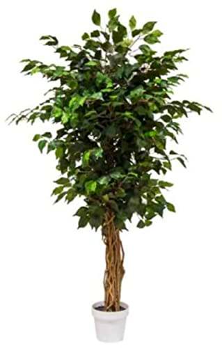 VEA SRL Planta G. FICUS 130 cm 57189