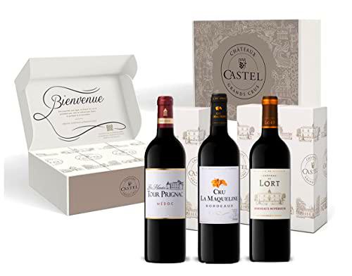 Caja de Regalo - Vino Tinto - Caja de degustación Burdeos: Les Hauts de Tour Prignac