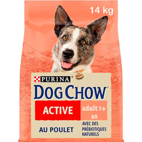 Dog Chow Purina Pienso para Perro Adulto Activo con Pollo