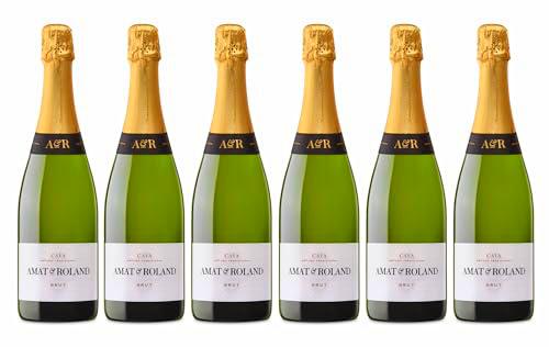 Cava Amat &amp; Roland Brut - 6 botellas 75 cl