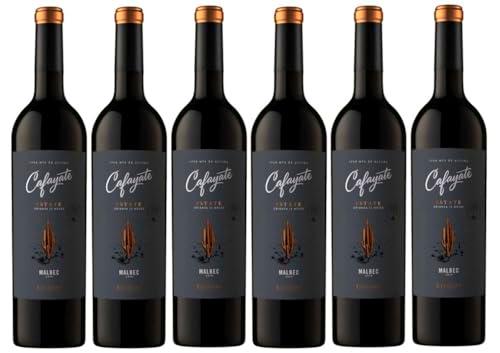 Cafayate Estate Malbec, Bodegas Etchart