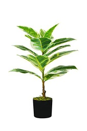 King Collection Plana FICUS elástica H. 65 cm 15 hojas