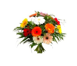 DECOALIVE | Ramo de Gerbera | Bouquet 20 Flores | Margaritas Naturales Frescas