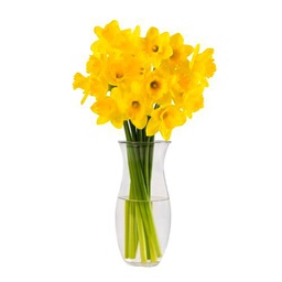 Bouquet de Narcisos Amarillos con 50 Flores Aromáticas y Frescas para Endulzar el Hogar