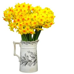 DECOALIVE - Ramo de Narcisos - Set 50 Flores Amarillas