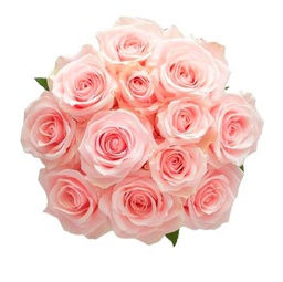 Bouquet de Rosas | DECOALIVE | Ramo de 25 Rosas Rosa Claro| Flores Frescas Naturales