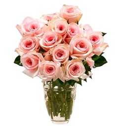 DECOALIVE - Ramo de Rosas - Set 25 Flores Rosa Claro