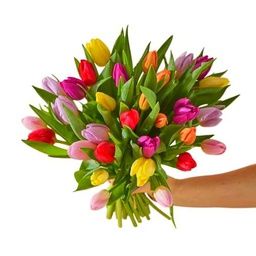 Bouquet de Tulipanes con 50 Flores Aromáticas y Frescas para Endulzar el Hogar Tulipanes Naturales