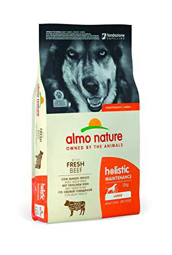 almo nature Dog Dry PFC Holistic Adult Buey Razas Grandes