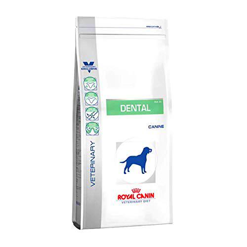 Royal Vet Canine Dental Dlk22 6Kg 6000 g