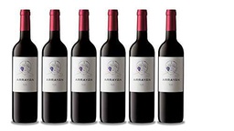 Arrayan Vino Arrayan Syrah - 6 Botellas de 750 ml