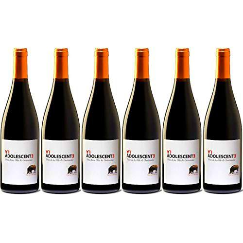 El Adolescente Vino Tinto Crianza - 6 Botellas - 4500 ml