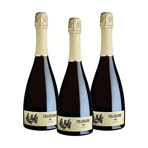 Vins&amp;Co Barcelona - Pack 3 botellas Vino Espumoso Blanco Tollodouro Brut