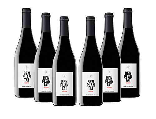 vins&amp;co barcelona Vino Benplantat Negre Selecció 2018