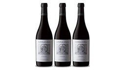 Arrayan Vino Arrayan Premium - 3 Botellas de 750 ml