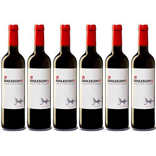 El Adolescente Vino Tinto Roble - 6 Botellas - 4500 ml