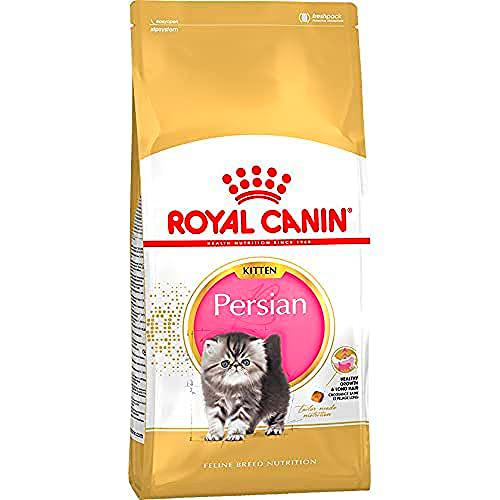 Royal Canin C-58428 Gatito Persian - 10 Kg