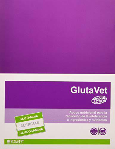 STANGEST Glutavet 300 Comp 1 Unidad 300 g