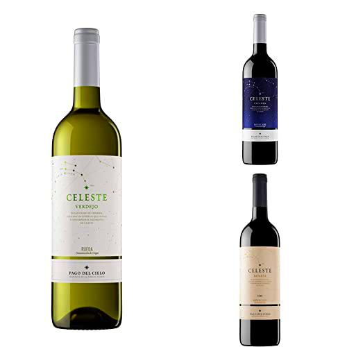 Pack Cata Pago del Cielo | Verdejo, Crianza y Reserva | D.O