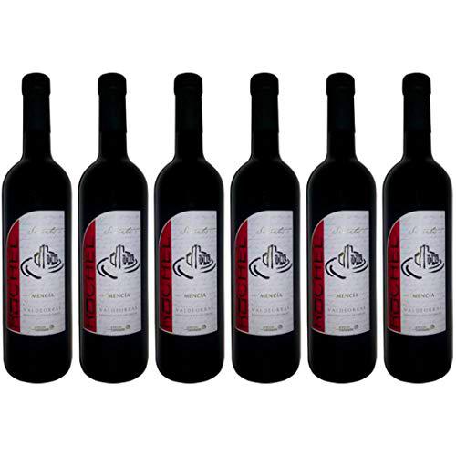 Ruchel Vino Tinto  - 6 Botellas - 4500 ml