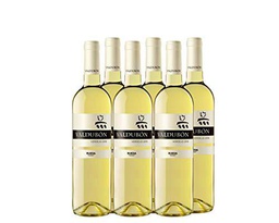 Valdubón Verdejo Joven - pack de 6 de 750 ml - Total: 4500 ml