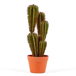 Catral Cactus Euphorbia SUZANNAE, Verde, 90 Cm