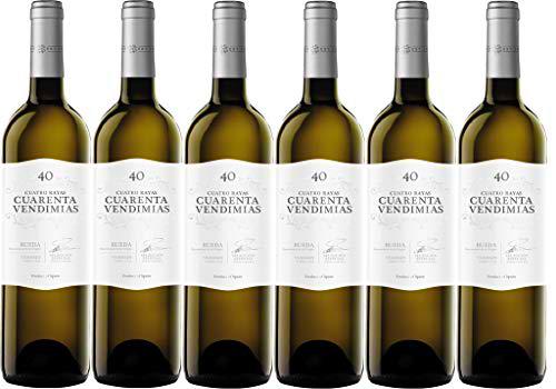 Vino Blanco Cuarenta Vendimias Verdejo D.O Rueda 6 Botellas de 750 ml (Total 4.5 L)