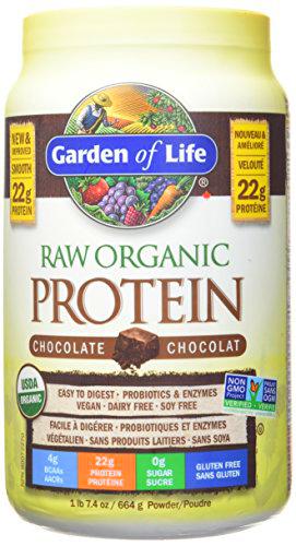 Garden of Life RAW Chocolate Proteico Orgánico 660g 660 g