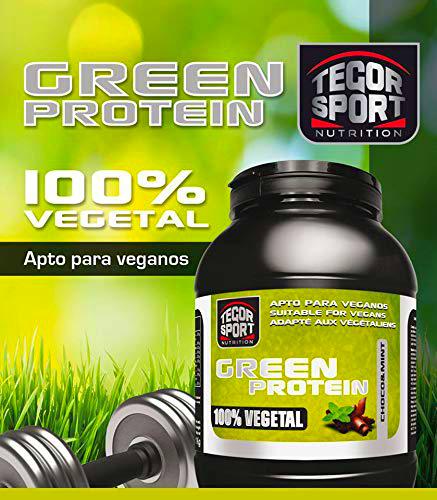 Tegor Green Protein Choco/Menta 1 Kg. Polvo 300 g