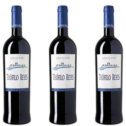 Teofilo Reyes Vino Tinto Crianza- 3 botellas x 750ml