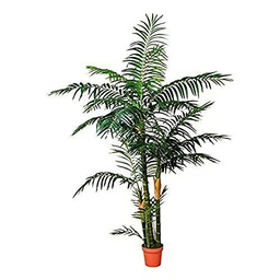 Catral 53010136 Palmera, 20.0x20.0x130.0 cm